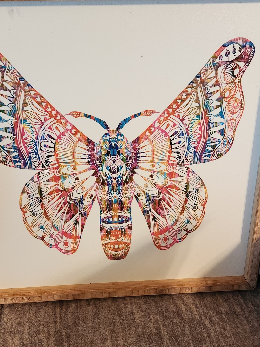 Multicolor Moth Wall Art Print - Decorative Home Wall Decor